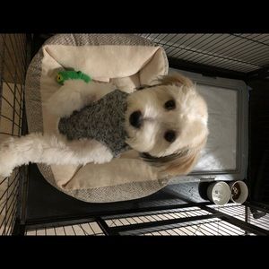 Meet your Posher, Quyen